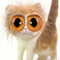 Designcat