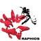 beegraphics