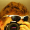 abphotos