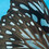 Wingpoem