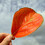 autumnleaf