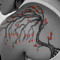 cbcink