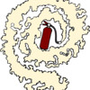 Sviz
