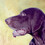 oulgundog