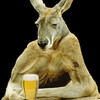 Kangaroo Edward