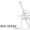 ales olasz
