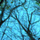 DesImages