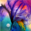 Iris  R