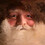 DavidCochran