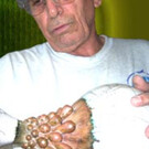 Carlos  Finales