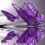 Butterfly66