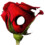H0110wPeTaL