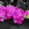 NAH Photography