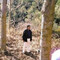 anilkumar3