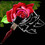 MuzaDesigns