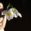 sentimentum