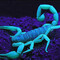 Scorpion9