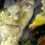 Lozzar Flowers & Art
