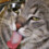 cassandra5322