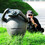 shutterbug2010