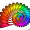 dragonflyone
