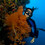 Carlos Villoch