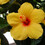 photofun75