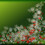 templar1119