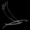 sparrowhawk