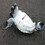 turtleflipper