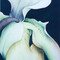 Jennifer Tynes