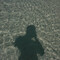 morel 3