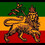 shashamane