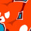 flashfox