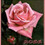roselee