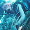 Varinia   - Globalphotos