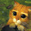 pixie3