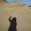 docophoto