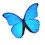 bluemorpho