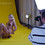 EAPhotographics