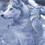 SnowDog