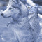 SnowDog