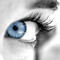 klphotographics