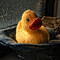 Simon Duckworth