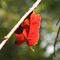 AbstractPhotos