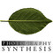 Photography Synthesis