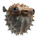 azurebumble
