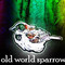 Old World Sparrow