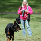 SherbrookePhoto