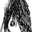 CWolf